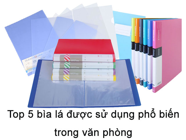 Top 5 bìa lá được sử dụng phổ biến trong văn phòng