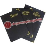 Sổ da CK10 mỏng (sổ da A4)